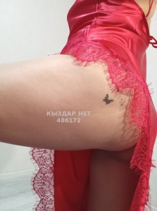 Проститутка Караганды Анкета №486172 Фотография №3802752