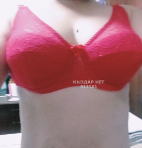 Проститутка Алматы Девушка№513181 Аяна Фотография №3833963