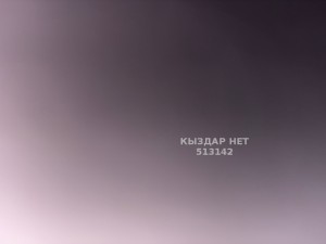 Жиголо Тараза Парень№513142 Мұрат Фотография №3843282