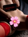 Фотография №3856597