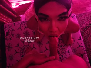 Транс Алматы Анкета №524807 Фотография №3919079