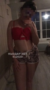 Проститутка Павлодара Анкета №512023 Фотография №3958883