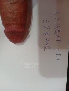 Жиголо Шымкента Анкета №528742 Фотография №3984132