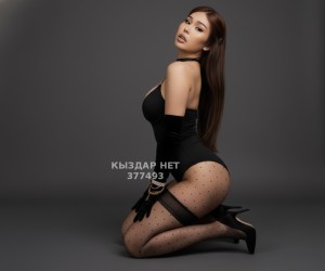 Транс Астаны Транс№377493 Ари Фотография №4009018