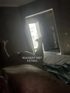 Жиголо Актобе Парень№537901 Azill Фотография №4026760